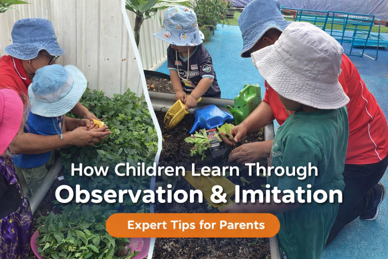 Learning Through Environment How Children Learn Through Observation and Imitation: A Guide for ...